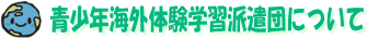 青少年海外体験学習派遣団について