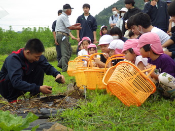 掘り方を教える馬頭高校生と興味津々な園児たち