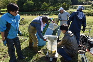 ホンモロコ水揚げ