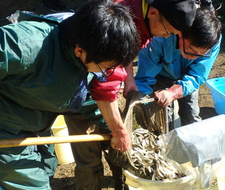 里山ほんもろこ